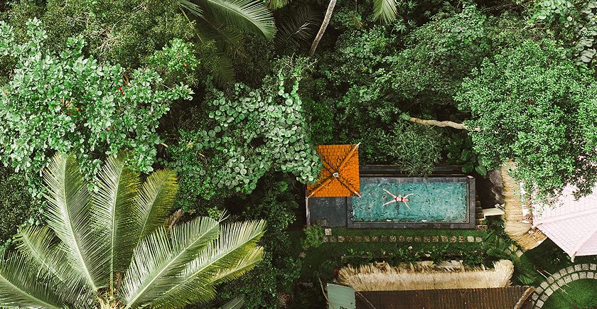 Know the secret of Forest Bliss Resort